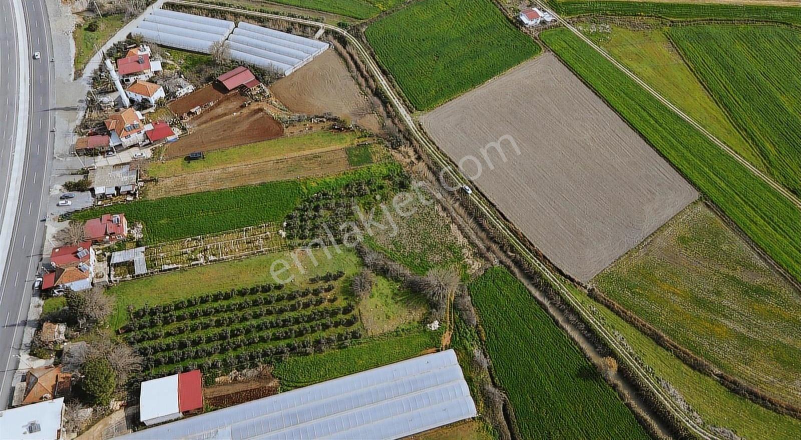 Seydikemer Çobanlar'da 1268 M² Tek Tapu Satılık Tarla - Görsel 18