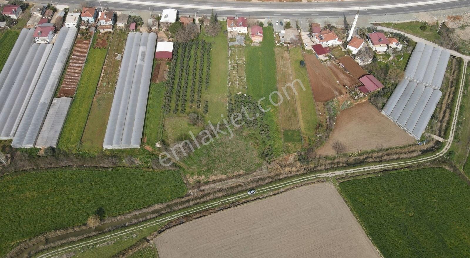 Seydikemer Çobanlar'da 1268 M² Tek Tapu Satılık Tarla - Görsel 23