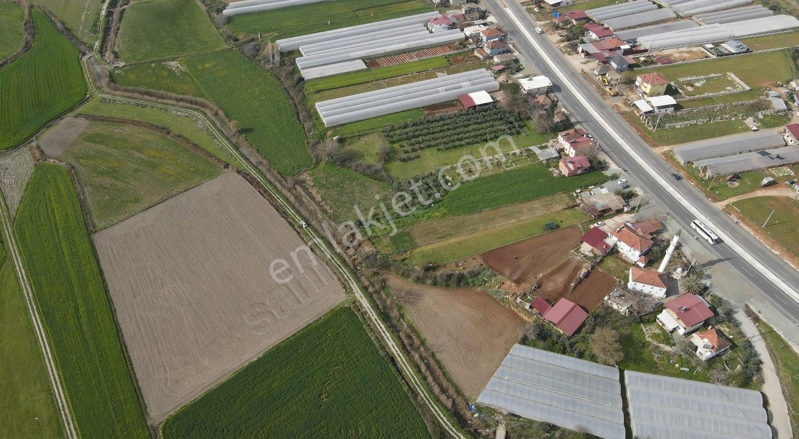 Seydikemer Çobanlar'da 1268 M² Tek Tapu Satılık Tarla - Görsel 31