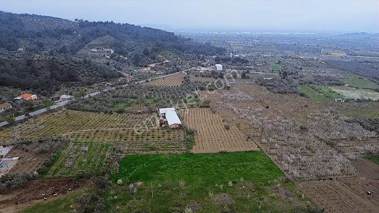 İmara Yakın Konumda 6 Dönüm Müstakil Tapulu Bağ Kaçmaz Fırsat - Görsel 10