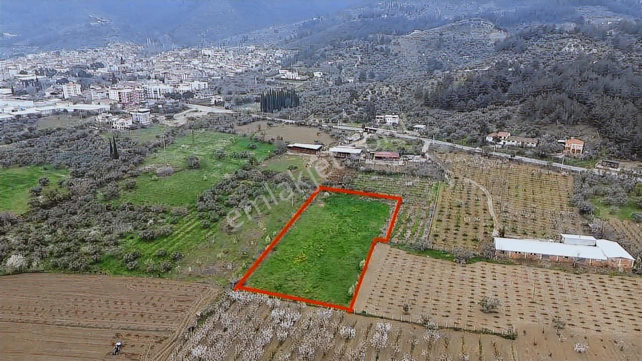 İmara Yakın Konumda 6 Dönüm Müstakil Tapulu Bağ Kaçmaz Fırsat - Görsel 7