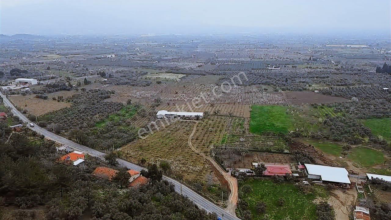 İmara Yakın Konumda 6 Dönüm Müstakil Tapulu Bağ Kaçmaz Fırsat - Görsel 11