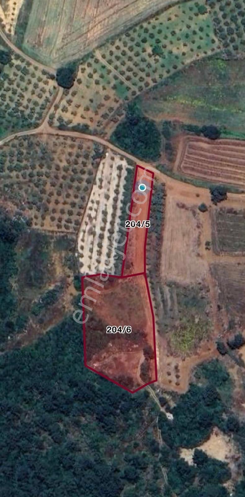 Muğla Yenice'de Doğanın Kalbinde Satılık Tarla - Görsel 7