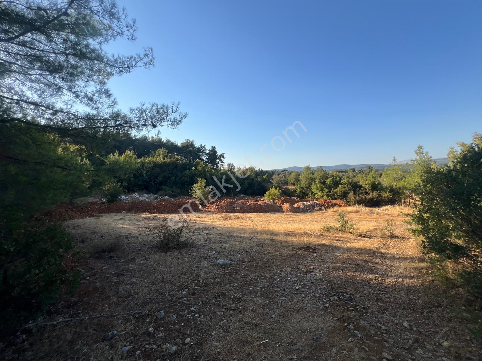 Muğla Yenice'de Doğanın Kalbinde Satılık Tarla - Görsel 6