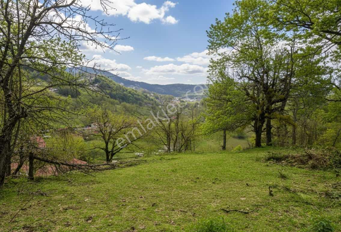 Berat Emlaktan Yığılca Mengen Köyünde 1074m2 İmarlı Arsa - Görsel 2