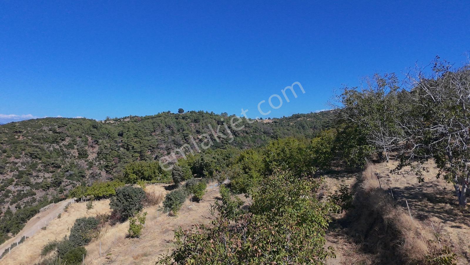 Aydın Nazilli 4757 M2 Satılık Bağ Nitekli Arazi - Görsel 10