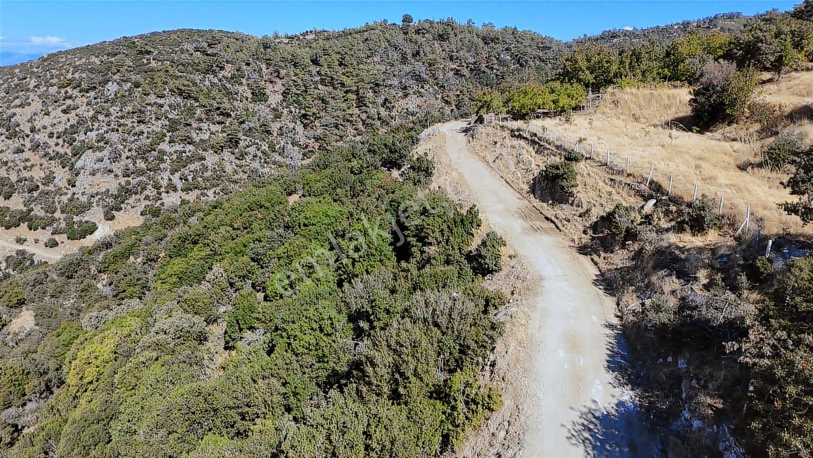 Aydın Nazilli 4757 M2 Satılık Bağ Nitekli Arazi - Görsel 9