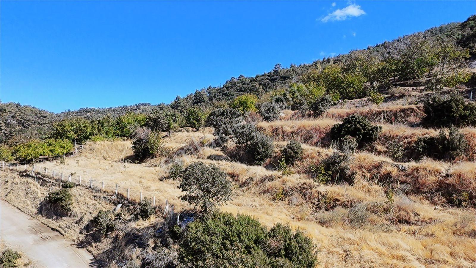 Aydın Nazilli 4757 M2 Satılık Bağ Nitekli Arazi - Görsel 15