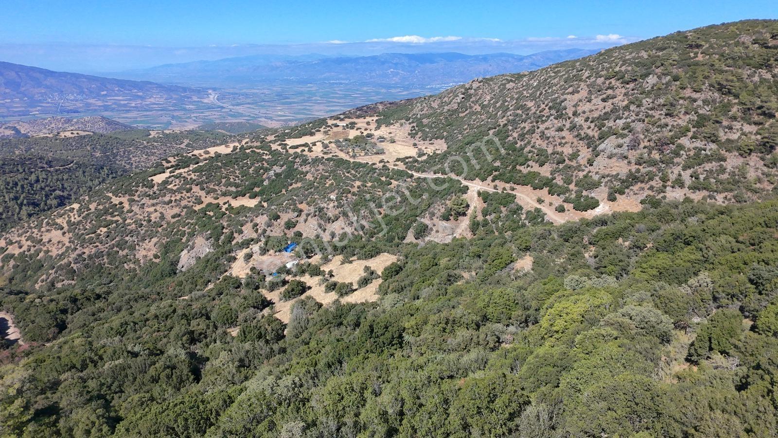 Aydın Nazilli 4757 M2 Satılık Bağ Nitekli Arazi - Görsel 8