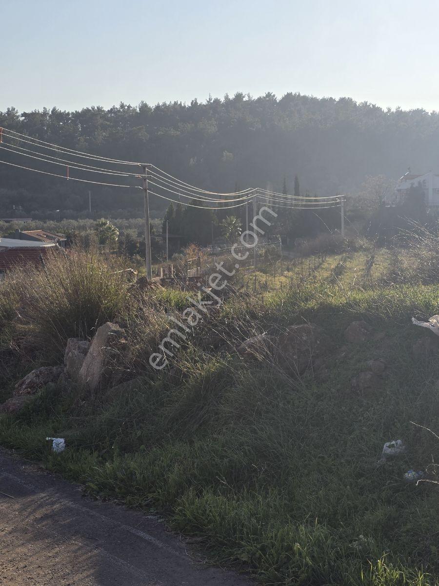 Menderes Yeniköyde Yatırımlık Tek Tapu 863 M2 Satılık Tarla - Görsel 19