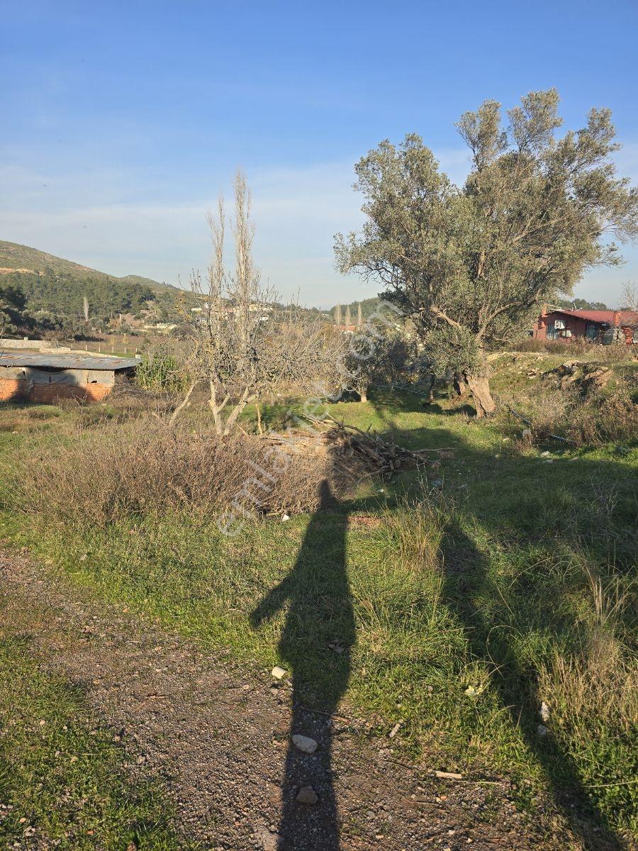 Menderes Yeniköyde Yatırımlık Tek Tapu 863 M2 Satılık Tarla - Görsel 22