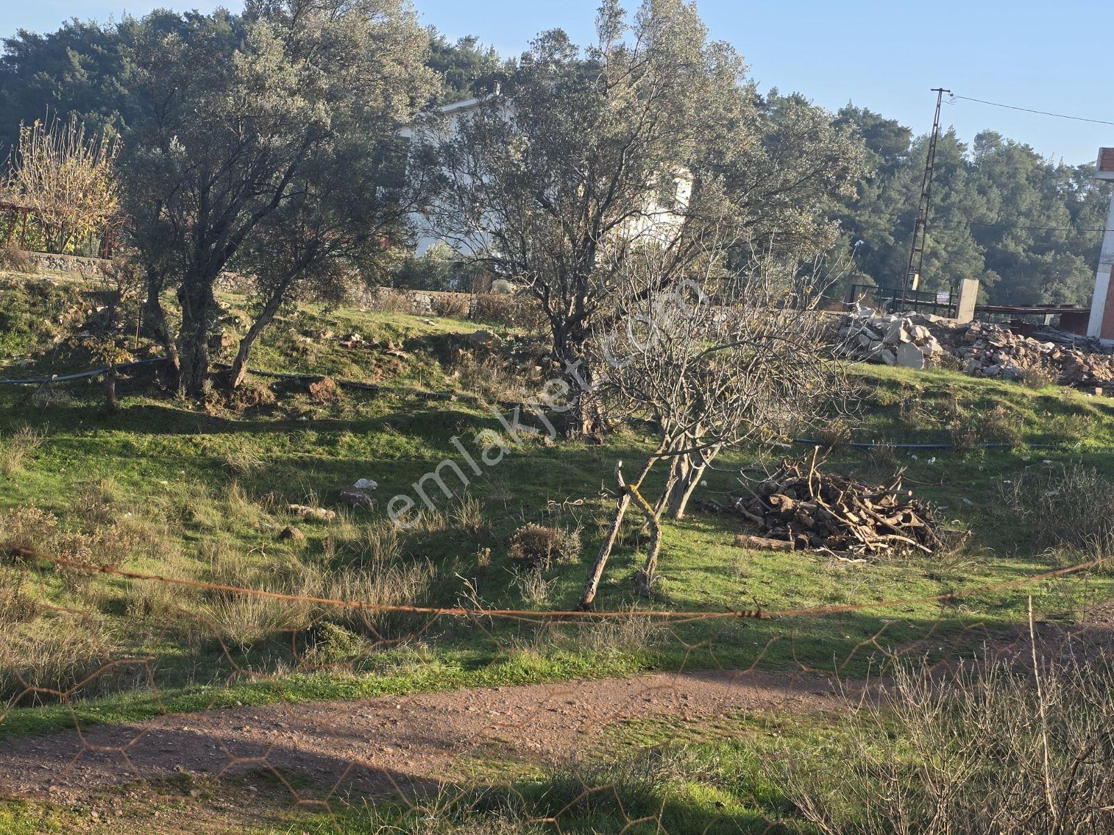Menderes Yeniköyde Yatırımlık Tek Tapu 863 M2 Satılık Tarla - Görsel 11