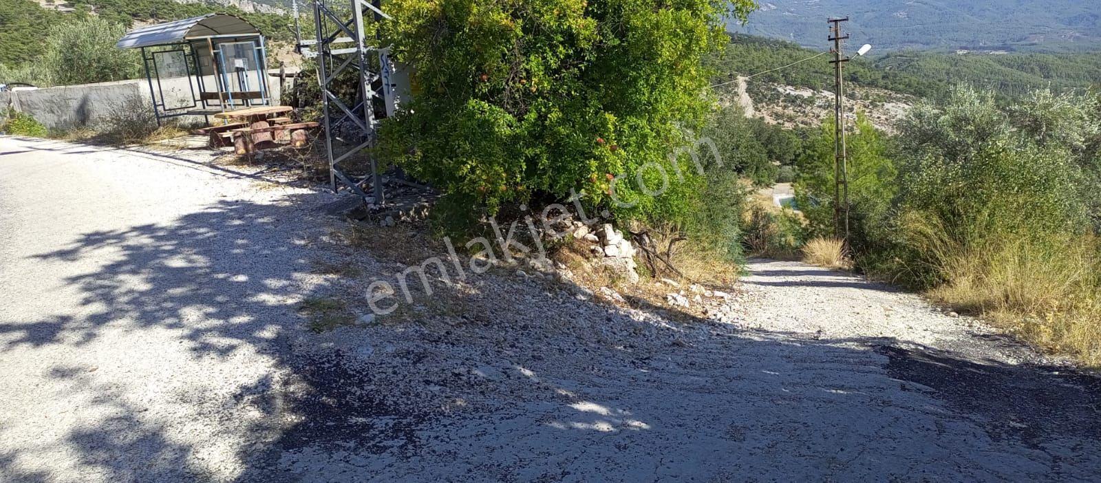 Antalya Finike Ernezde 4122 M2 Arazi Üzerinden Müstakil Ev - Görsel 2