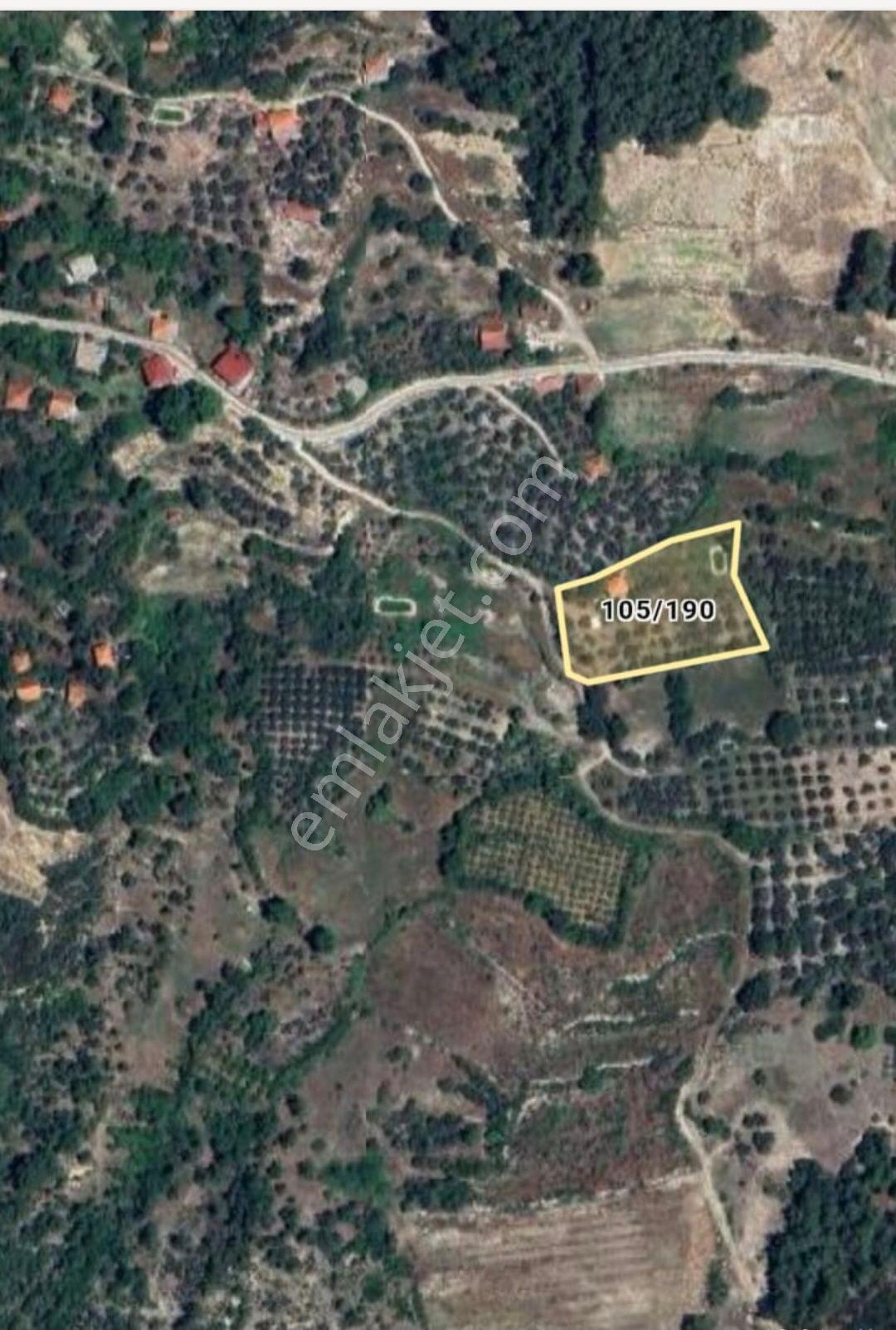 Antalya Finike Ernezde 4122 M2 Arazi Üzerinden Müstakil Ev - Görsel 5