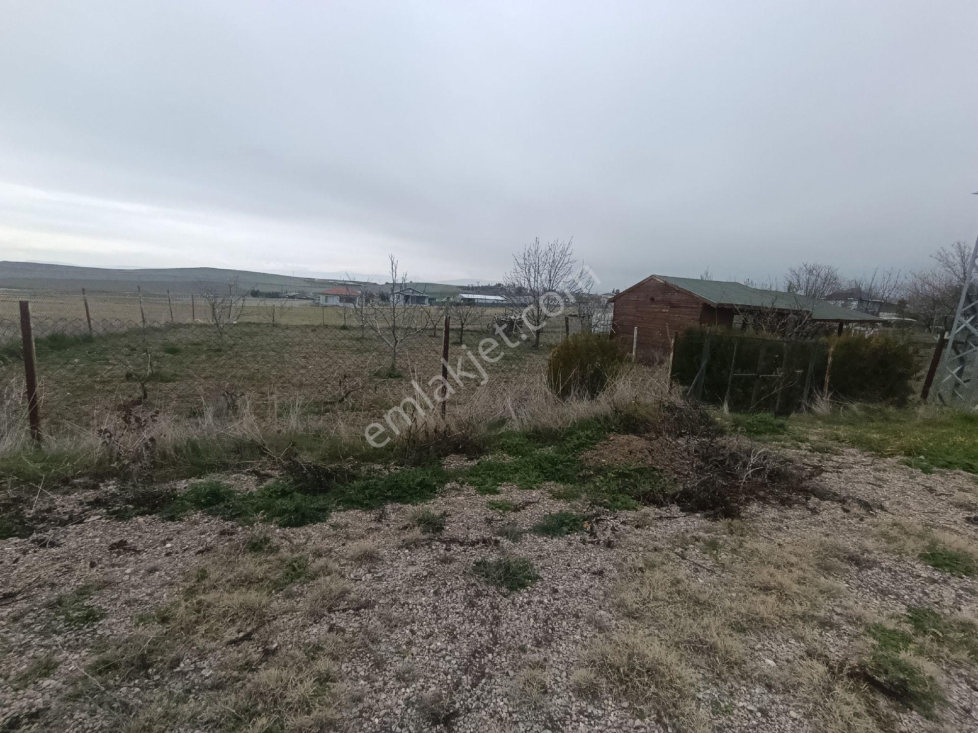 Rota Elit’ten! Doğa İçinde, Meyve Ağaçlı, Alt Yapısı Hazır 464 M² Villa Arsası!