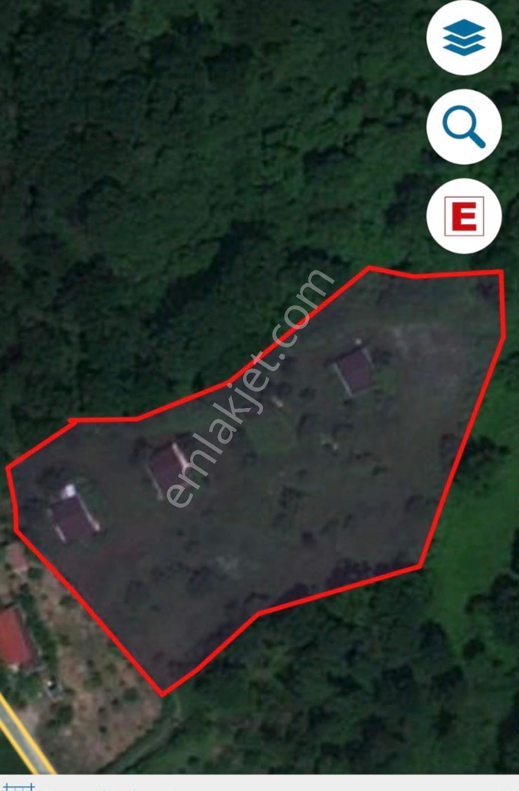 Arnavutköy Tayakadın'da 6500 M² Satılık Tarla