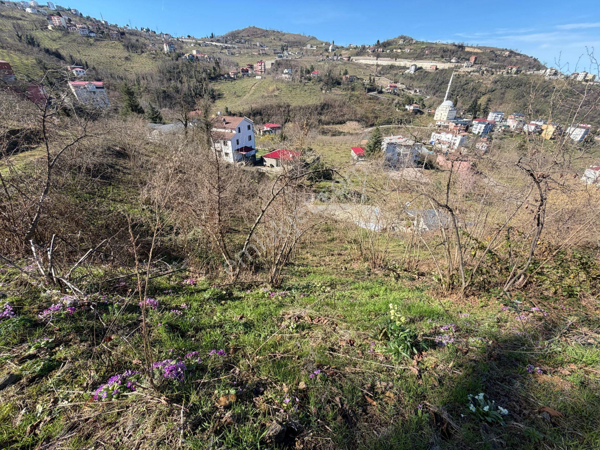 Kisarna Da Satılık 2.5 Dönüm Yol Kenarı Manzaralı Arazi - Görsel 2