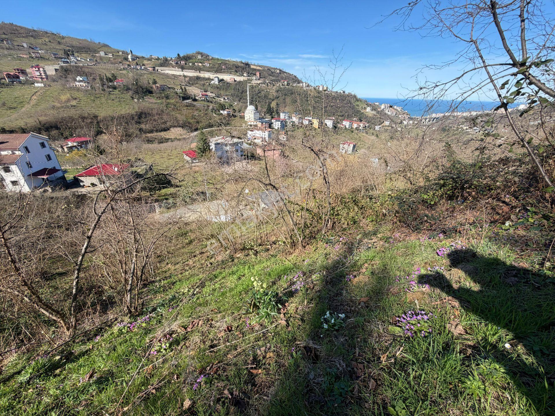 Kisarna Da Satılık 2.5 Dönüm Yol Kenarı Manzaralı Arazi
