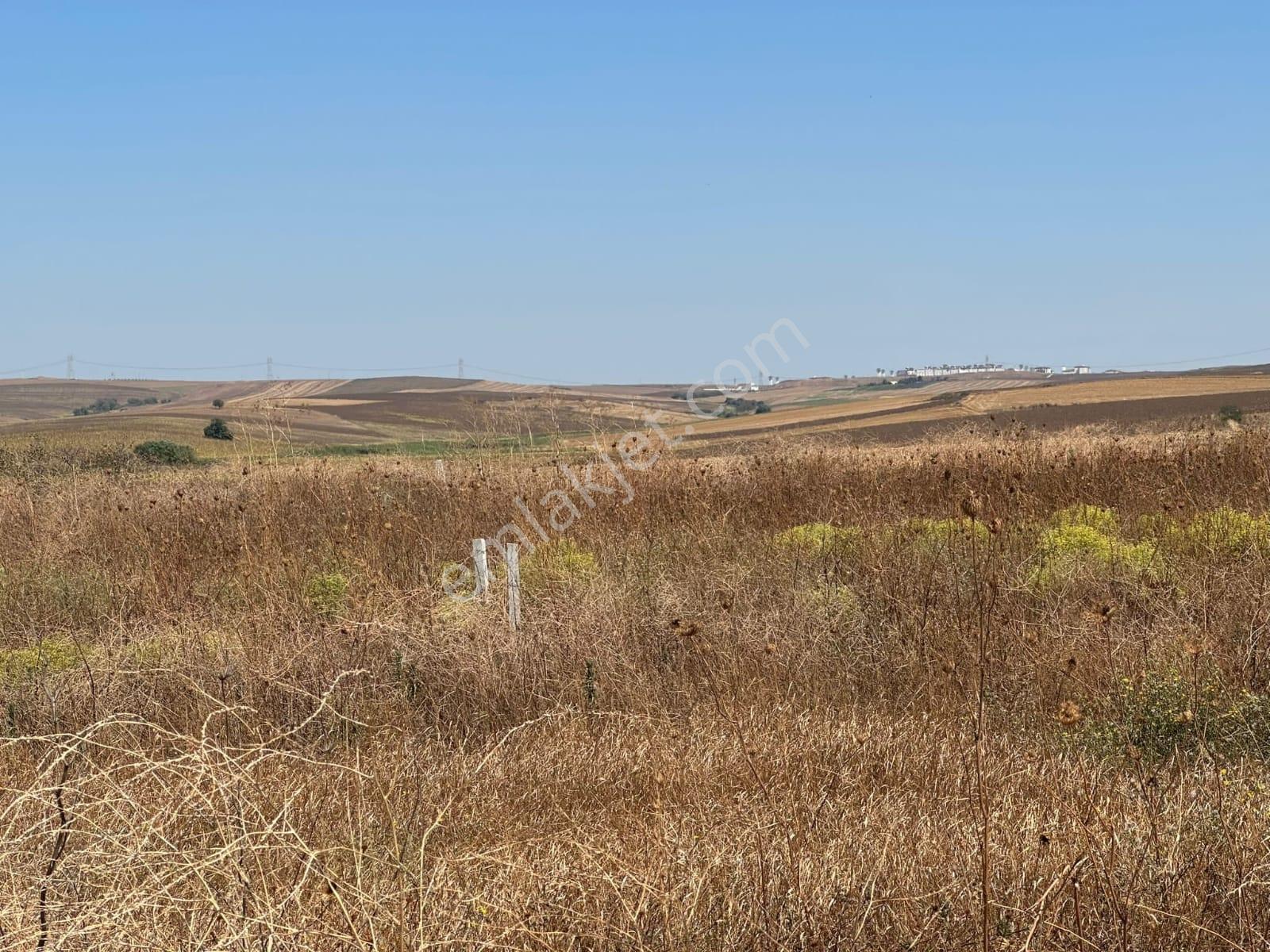 Çorlu Yenicede Resmi Yolu Olan Köye Cephe 950 M2 Kupon Yer - Görsel 9