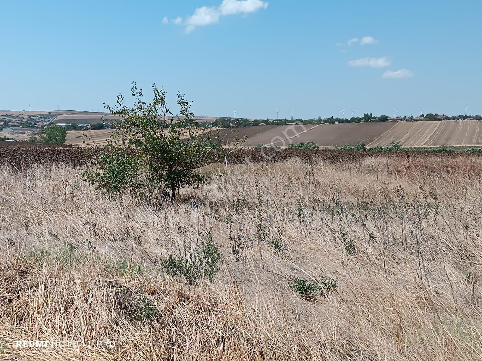 Çorlu Yenicede Resmi Yolu Olan Köye Cephe 950 M2 Kupon Yer - Görsel 19