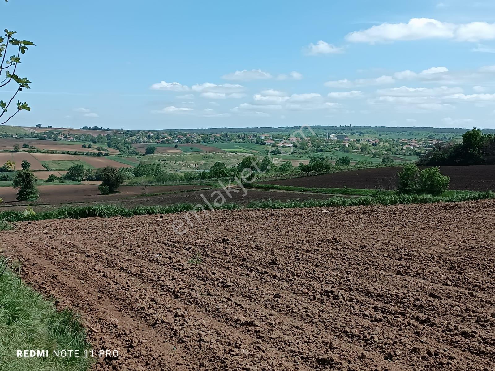 Tekirdağ Malkara Da 1300 M2 Müstakil Tarla Araç Takasına Uygun - Görsel 7