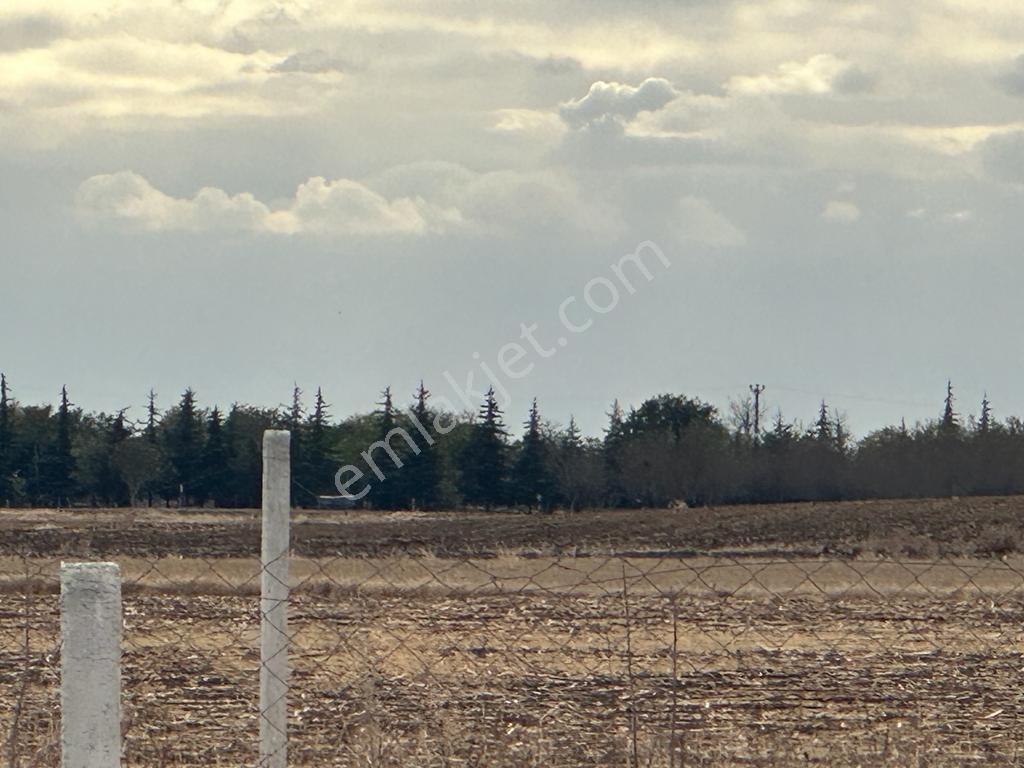 Yuvam Gayrimenkul'den Ergene İğneler Mah 570m2 Yeri Ve Çapı Bell - Görsel 4