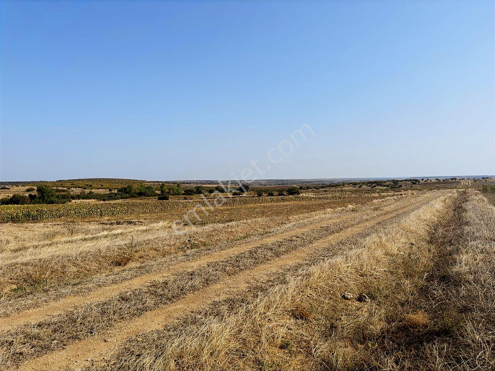 Edirne Süloğlu Merkez'de 4600 M2 Resmi Yola Cephe Yatırımlık - Görsel 2