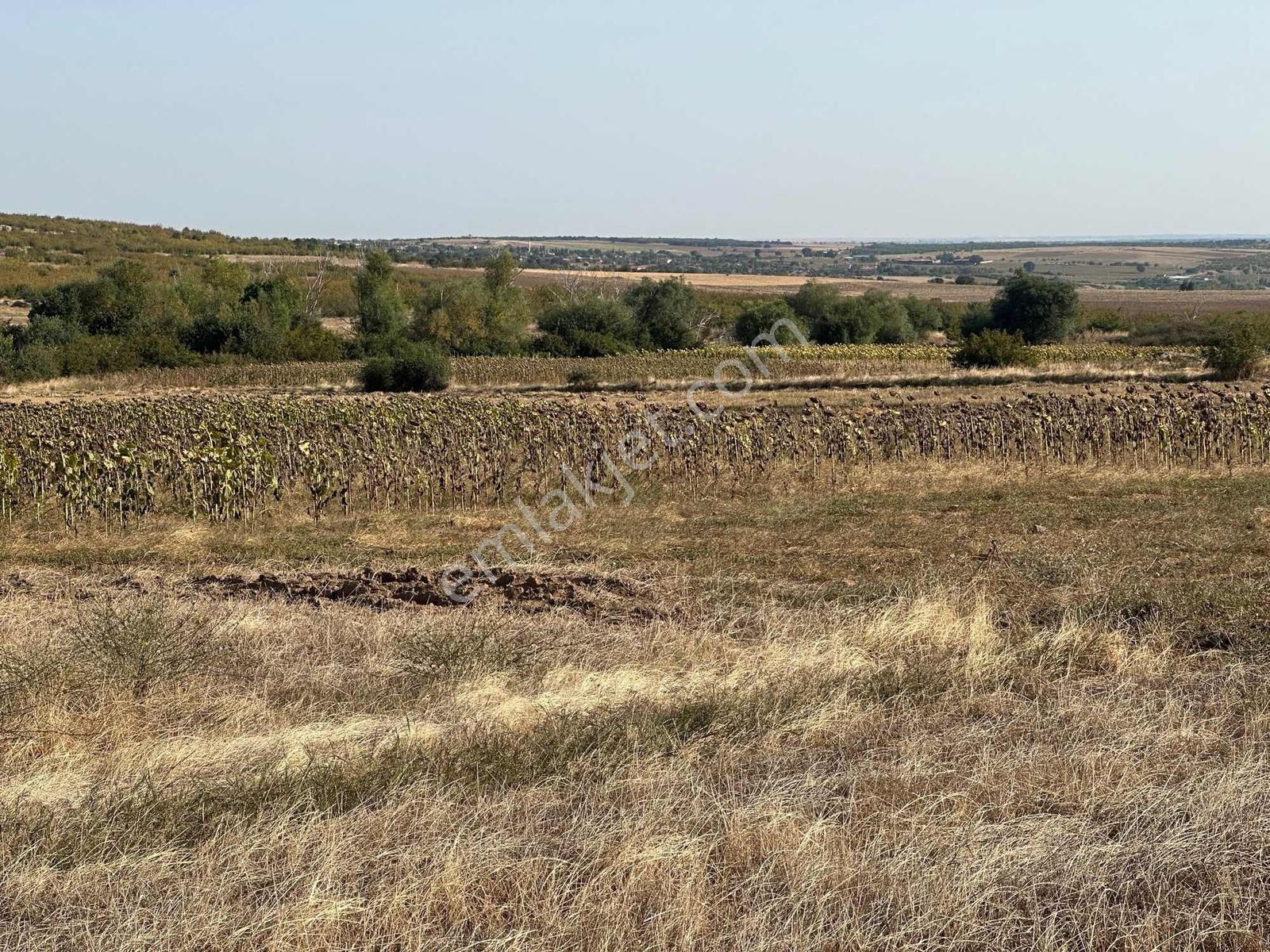 Edirne Süloğlu Merkez'de 4600 M2 Resmi Yola Cephe Yatırımlık - Görsel 29