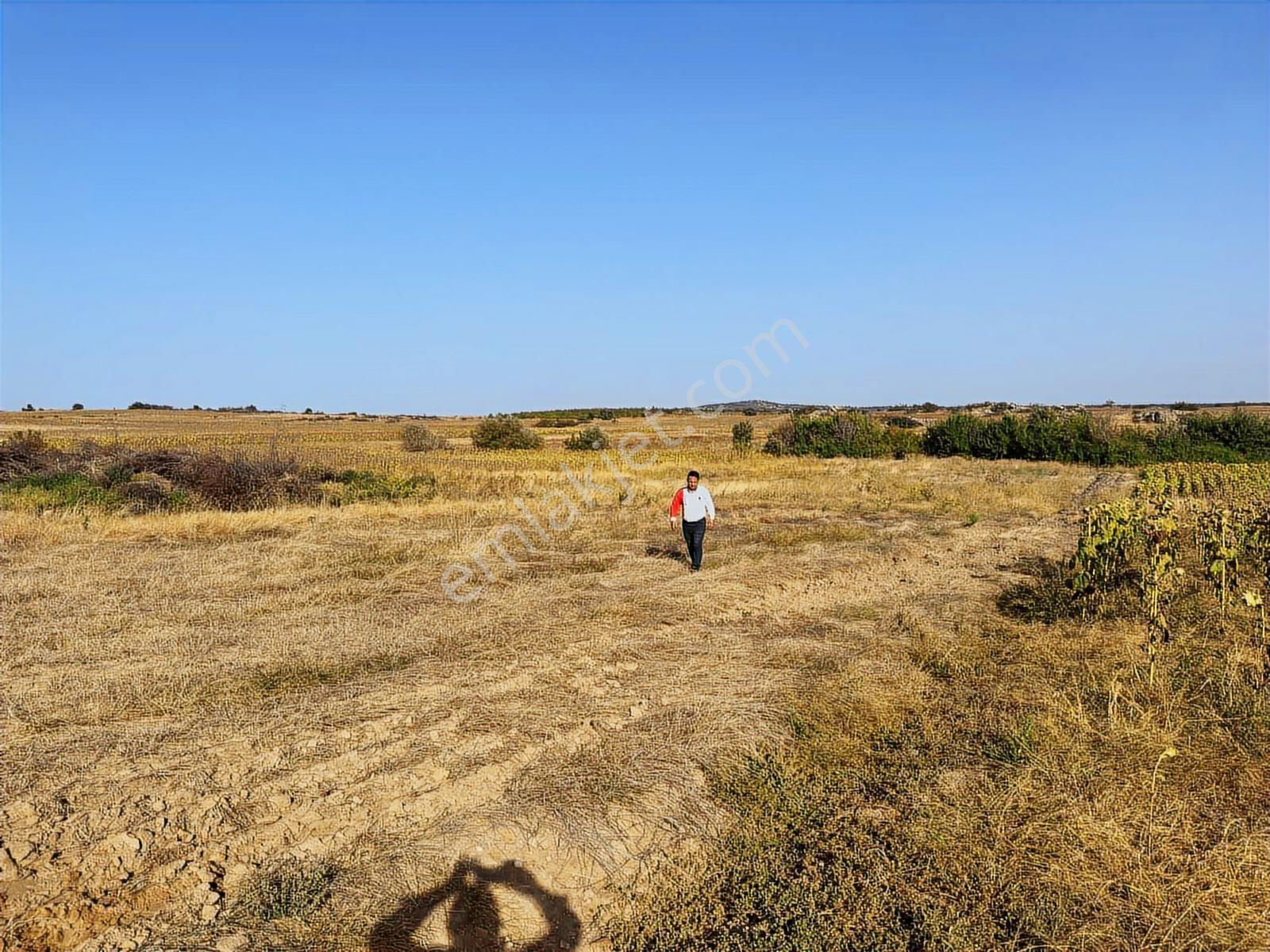 Edirne Süloğlu Merkez'de 4600 M2 Resmi Yola Cephe Yatırımlık - Görsel 3
