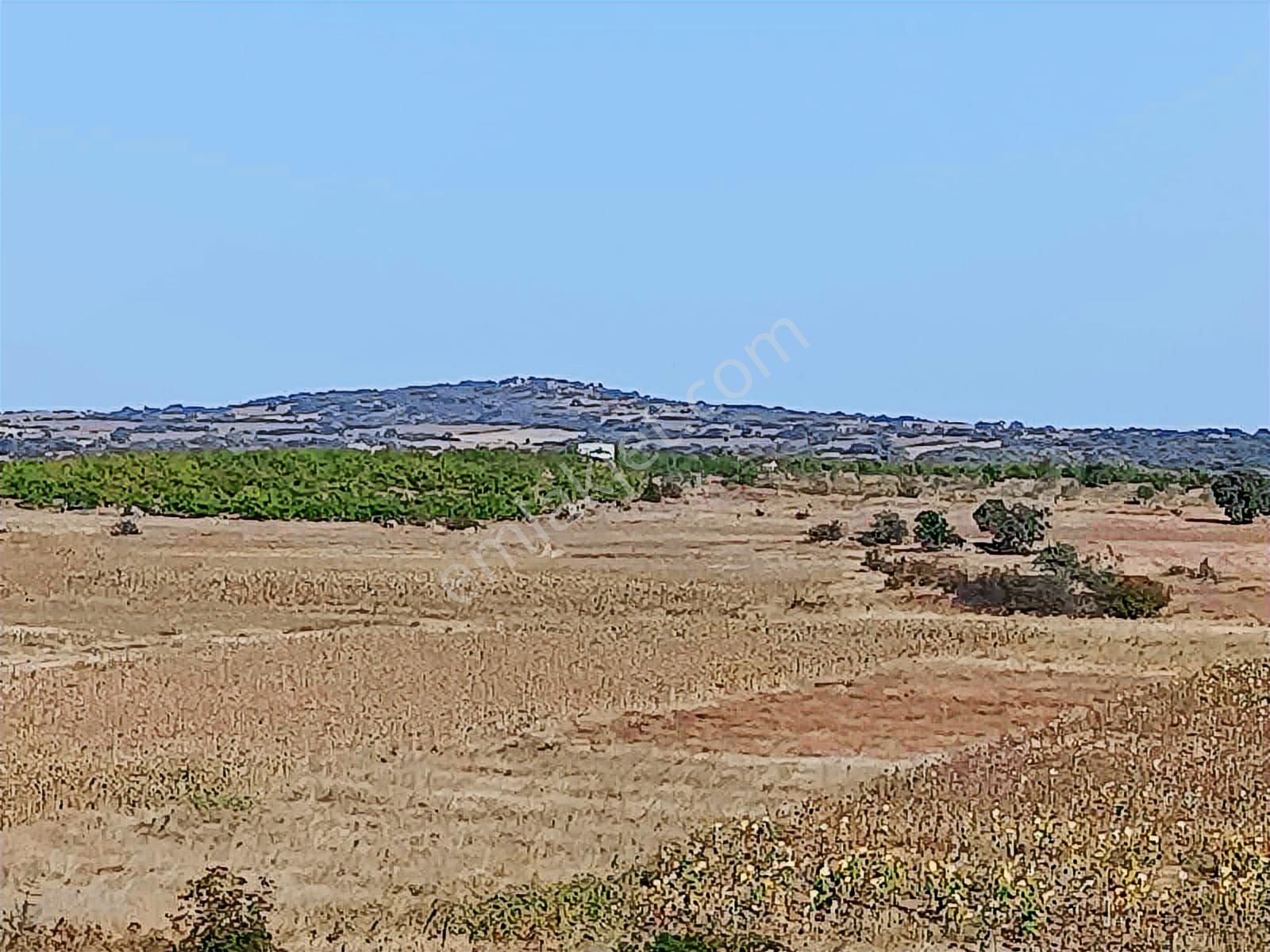 Edirne Süloğlu Merkez'de 4600 M2 Resmi Yola Cephe Yatırımlık - Görsel 4