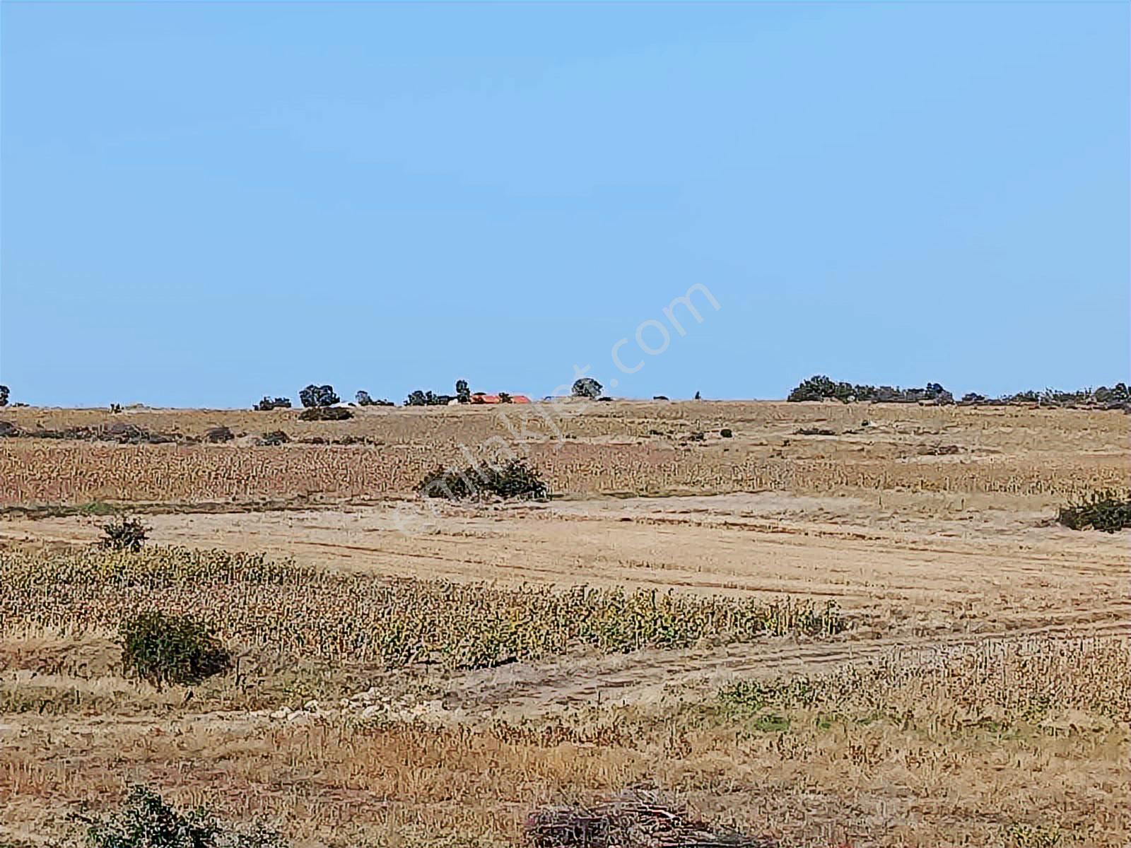 Edirne Süloğlu Merkez'de 4600 M2 Resmi Yola Cephe Yatırımlık - Görsel 13
