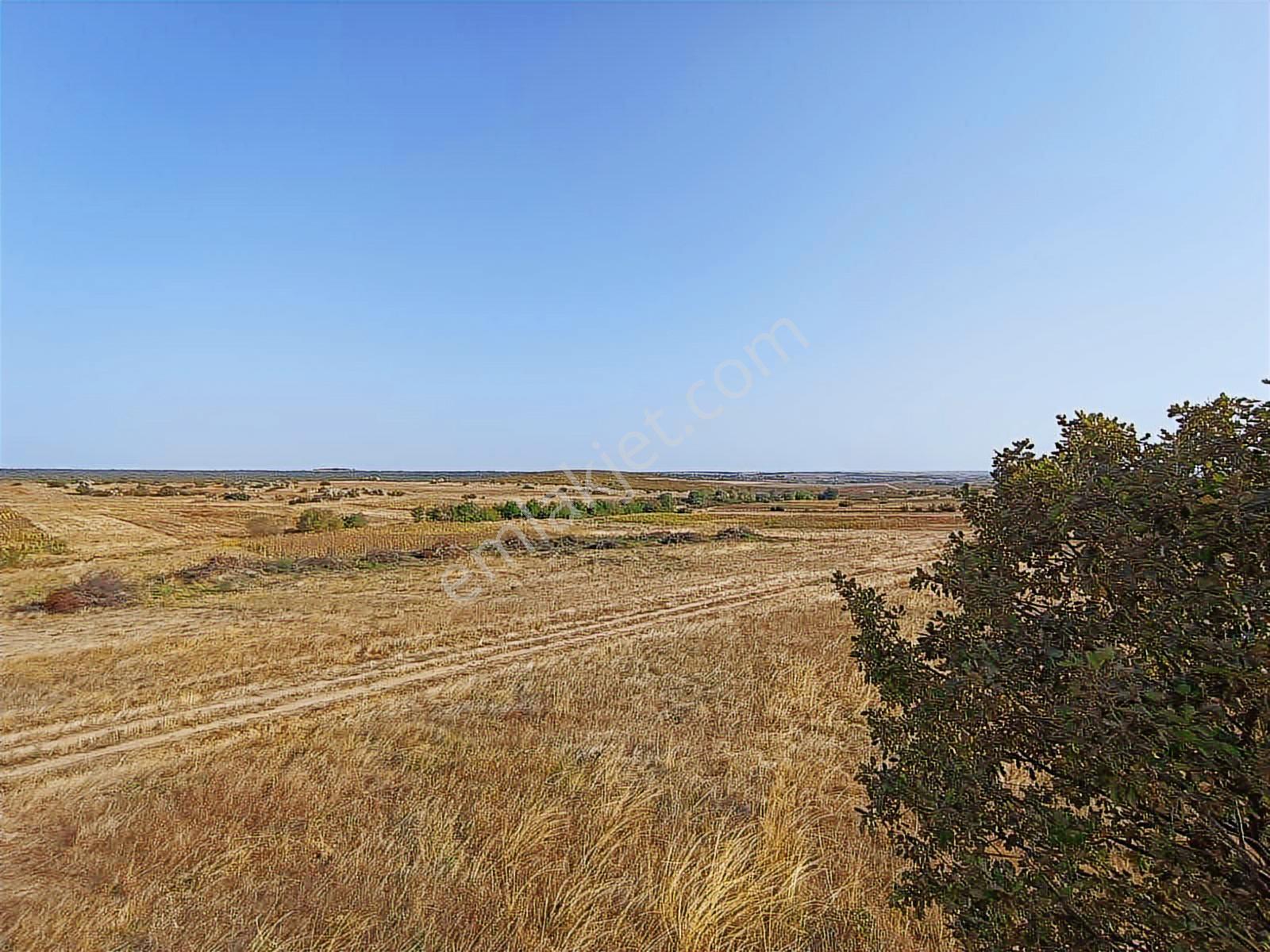 Edirne Süloğlu Merkez'de 4600 M2 Resmi Yola Cephe Yatırımlık - Görsel 8