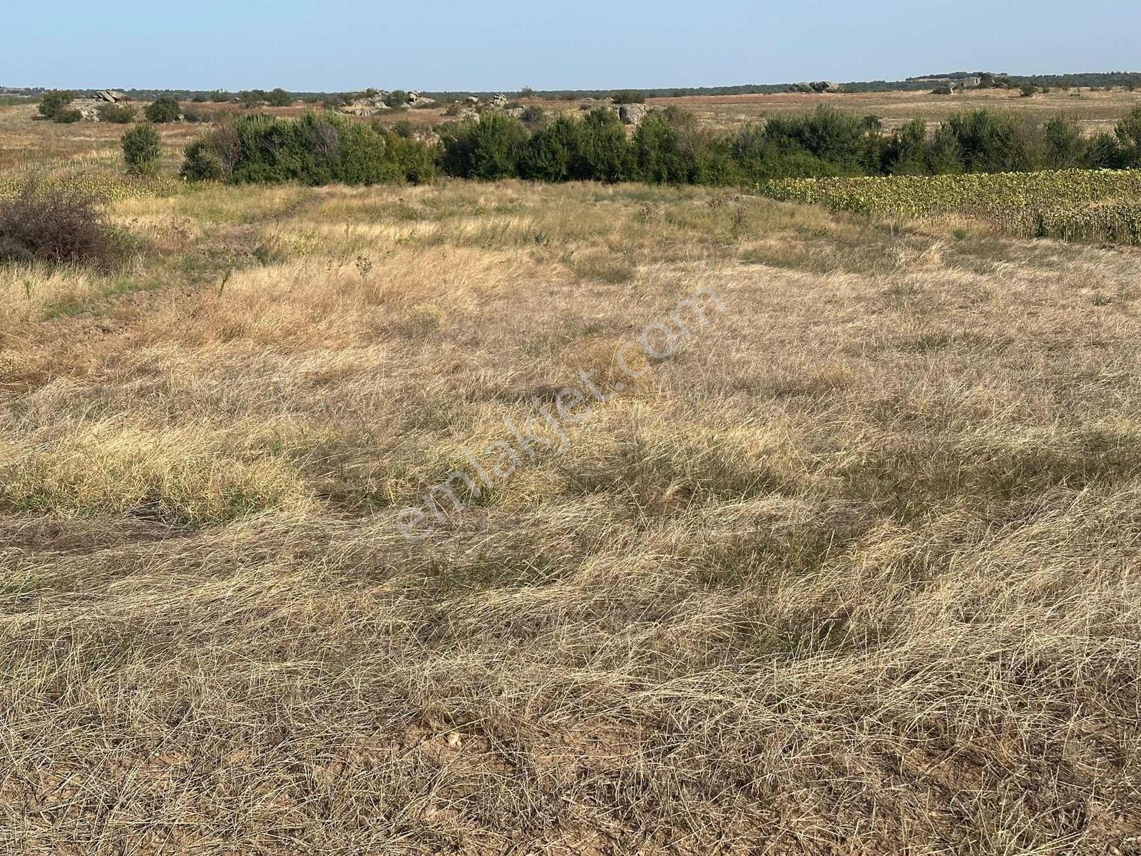 Edirne Süloğlu Merkez'de 4600 M2 Resmi Yola Cephe Yatırımlık - Görsel 30