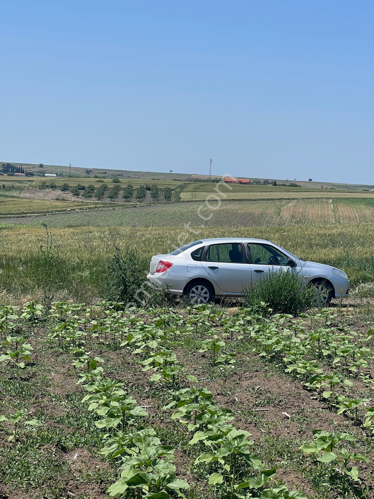 Yuvam Gayrimenkul'den 1035 M2 Müstakil Tapulu Tarla - Görsel 8