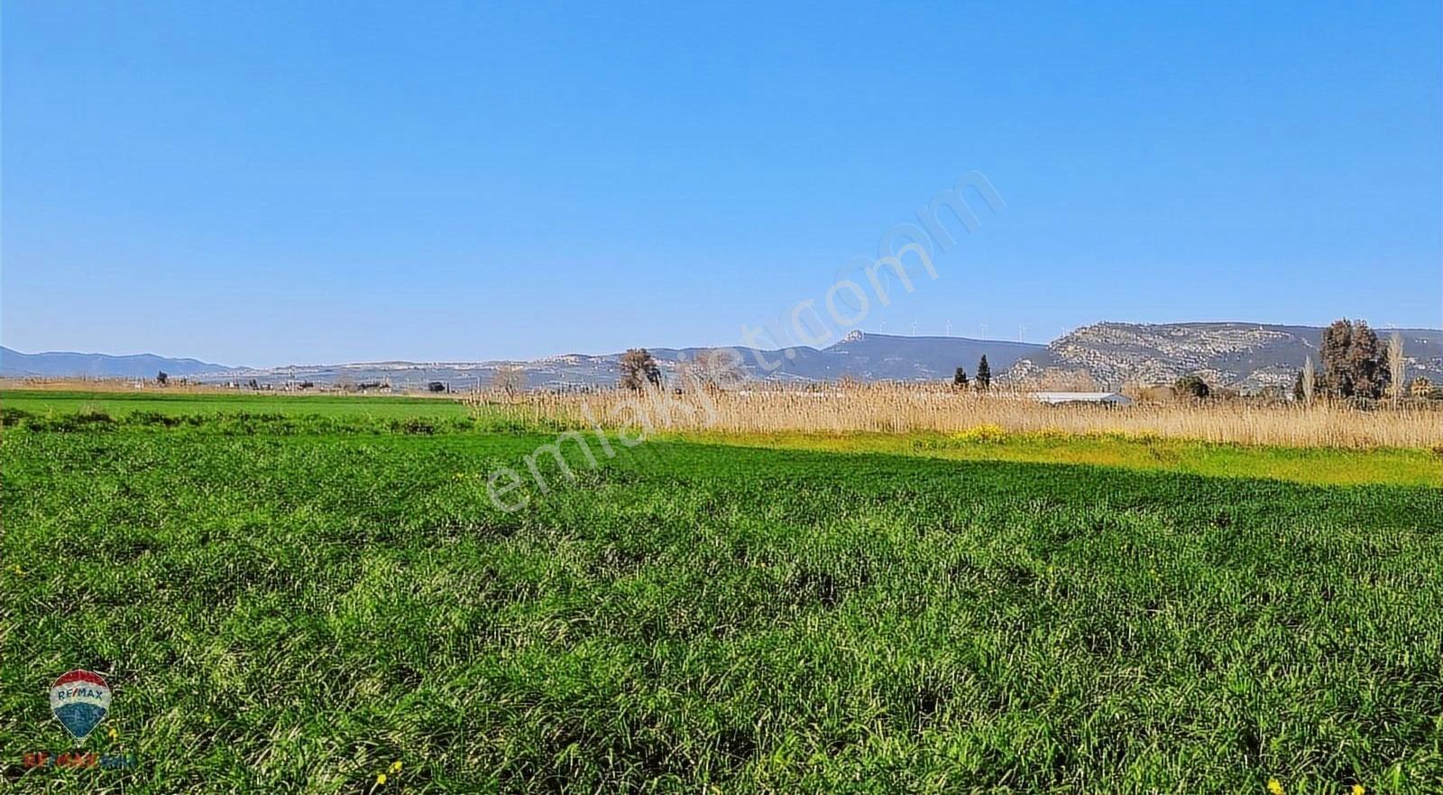 56 Foça'da 1.171m² Satılık Tarla - Görsel 9