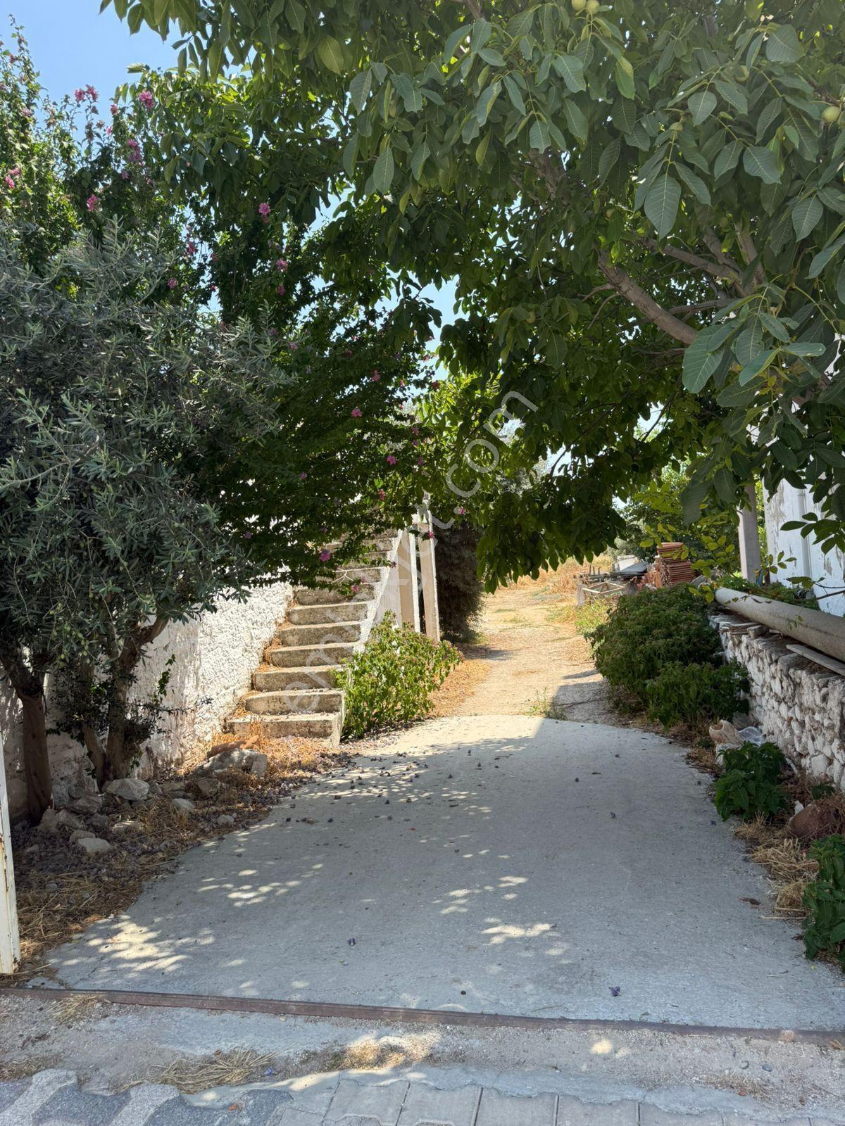 Muğla Milas Ören Mahallesinde Satılık Müstakil Ev Ve Bahçe - Görsel 8