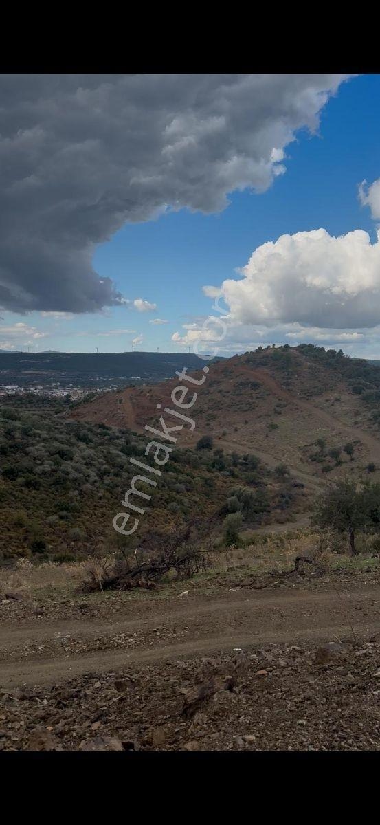 Kavakdere'de 250 M2 Tapudan Satışlı Bahçe