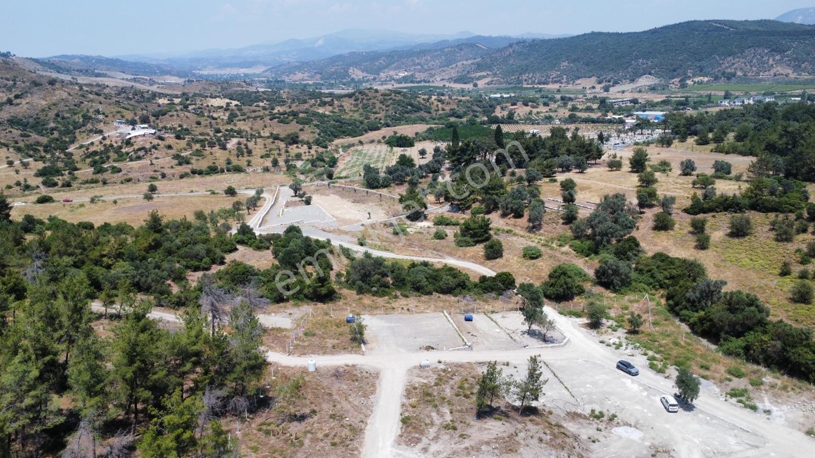Kavakdere'de 250 M2 Tapudan Satışlı Bahçe - Görsel 3