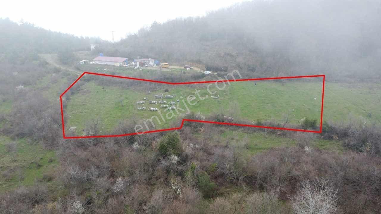 Türkan Emlaktan 4329 M² %10 İmarlı Doğa İçinde Arsa - Görsel 12