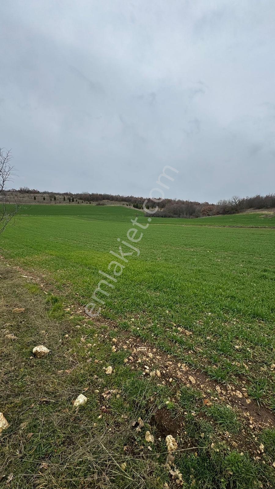 Yündalanda Satılık 2660 M2 Tarla - Görsel 11