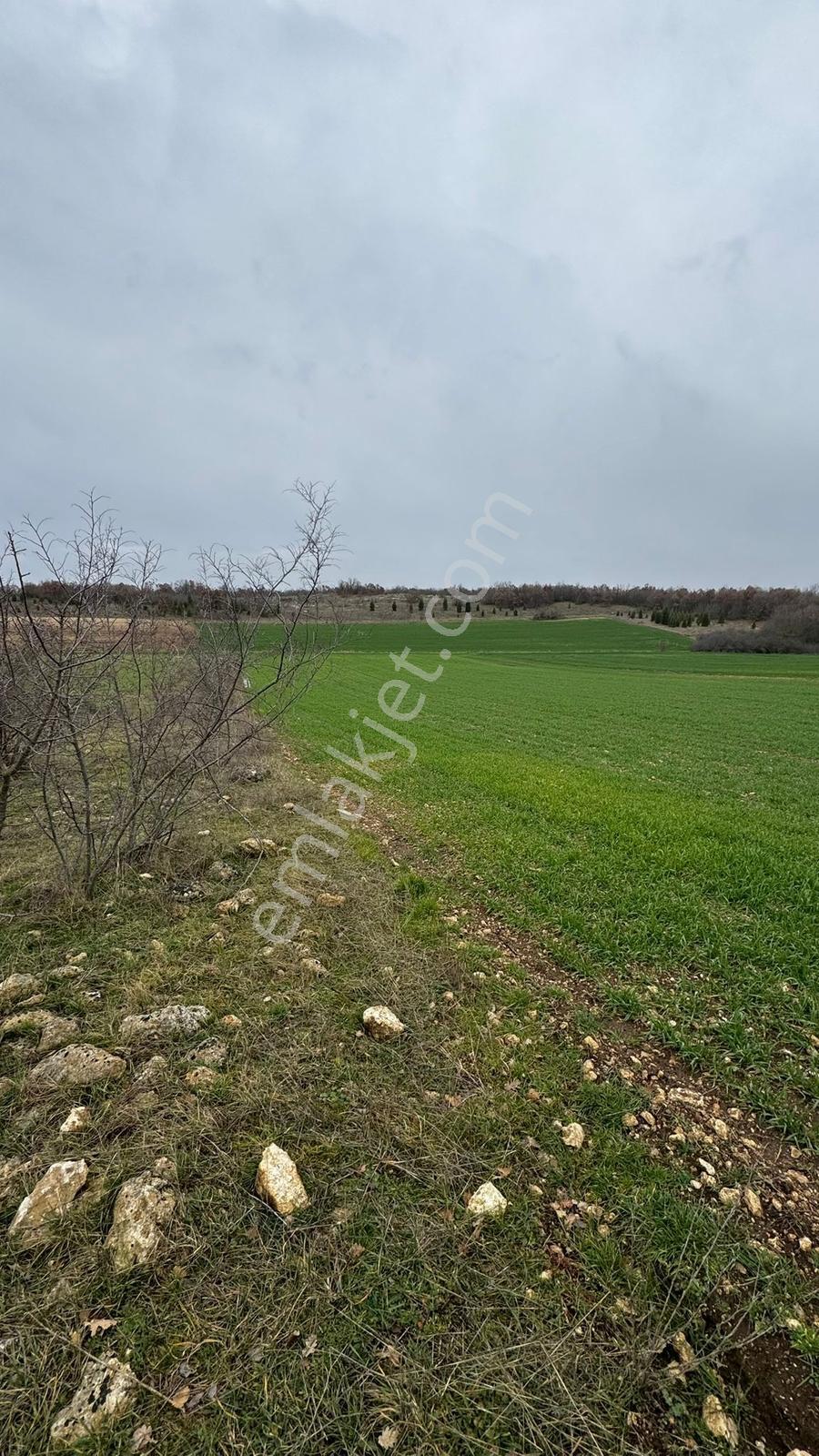Yündalanda Satılık 2660 M2 Tarla - Görsel 4