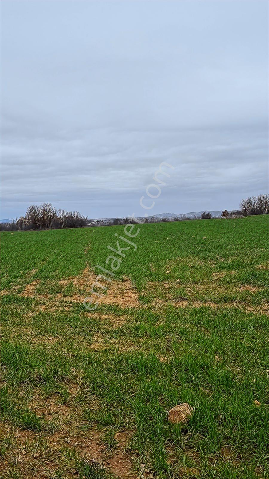 Yündalanda Satılık 2660 M2 Tarla - Görsel 14
