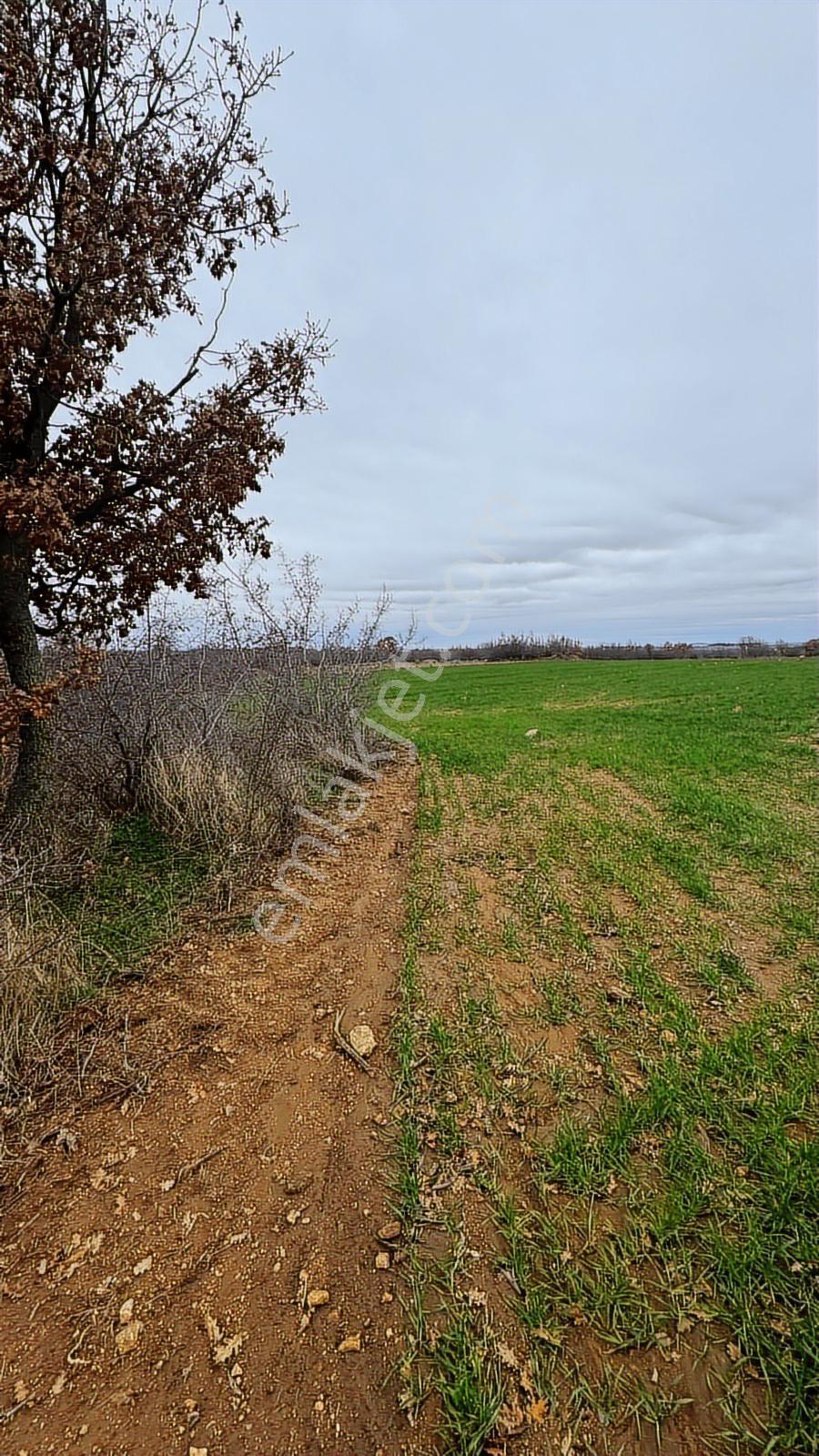 Yündalanda Satılık 2660 M2 Tarla - Görsel 7