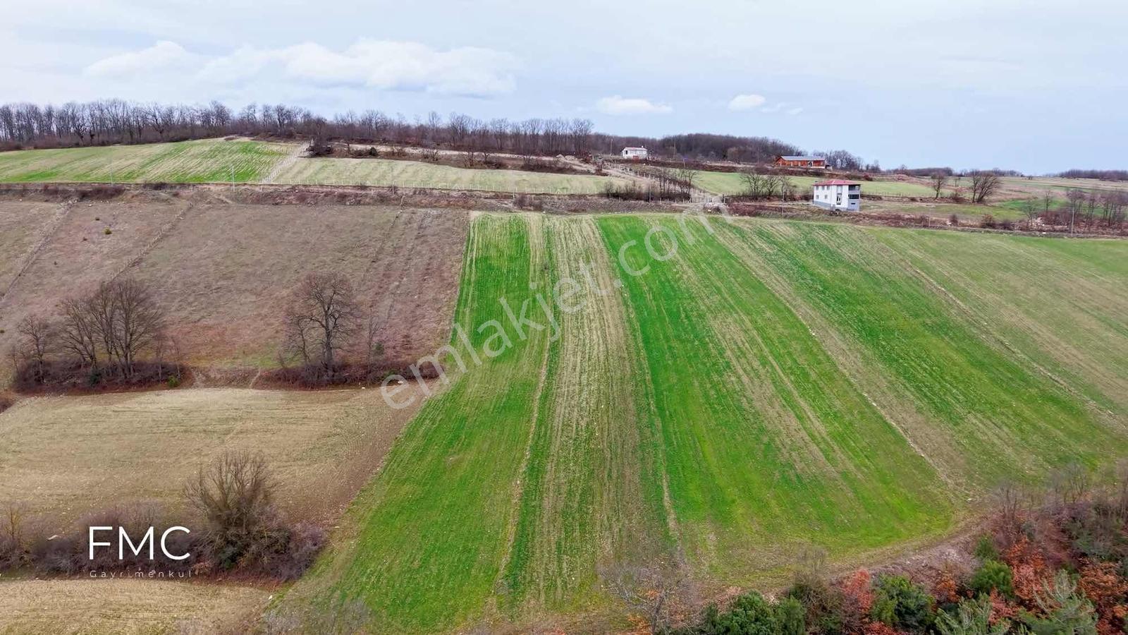Fmc Gayrimenkul'den Çatmaoluk'da Kadastro Yola Cephe 3160m2 Tarl - Görsel 10
