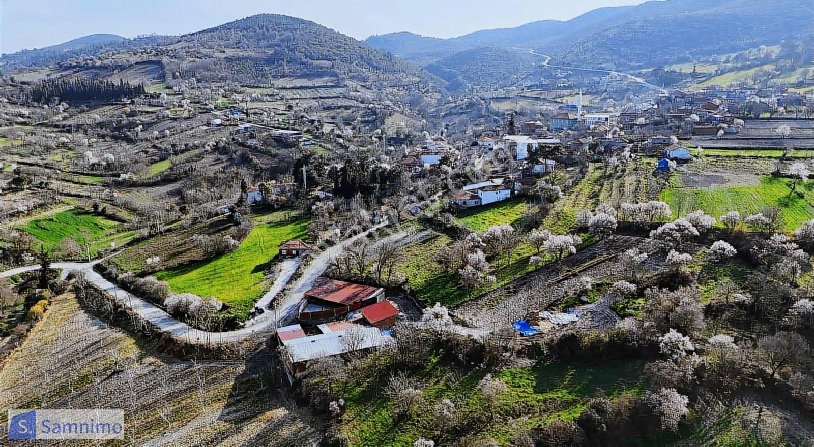 Satılık Şahane Büyük Baş&küçük Baş Hayvan Çiftiliği - Görsel 5
