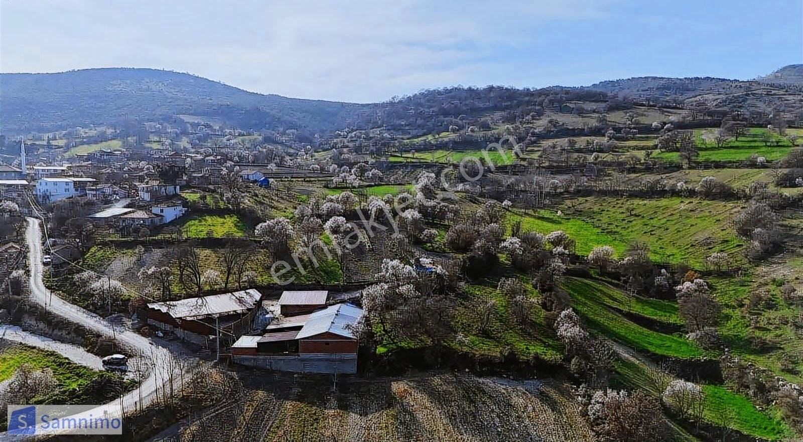 Satılık Şahane Büyük Baş&küçük Baş Hayvan Çiftiliği - Görsel 10