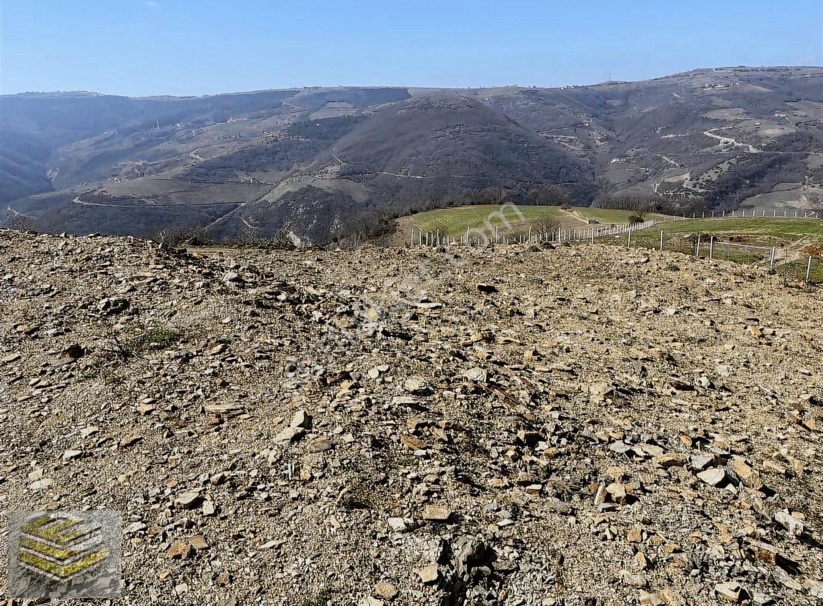 Ekipten Canik Kızıloğlak'ta 14 Dönüm Deniz Manzaralı Tarla