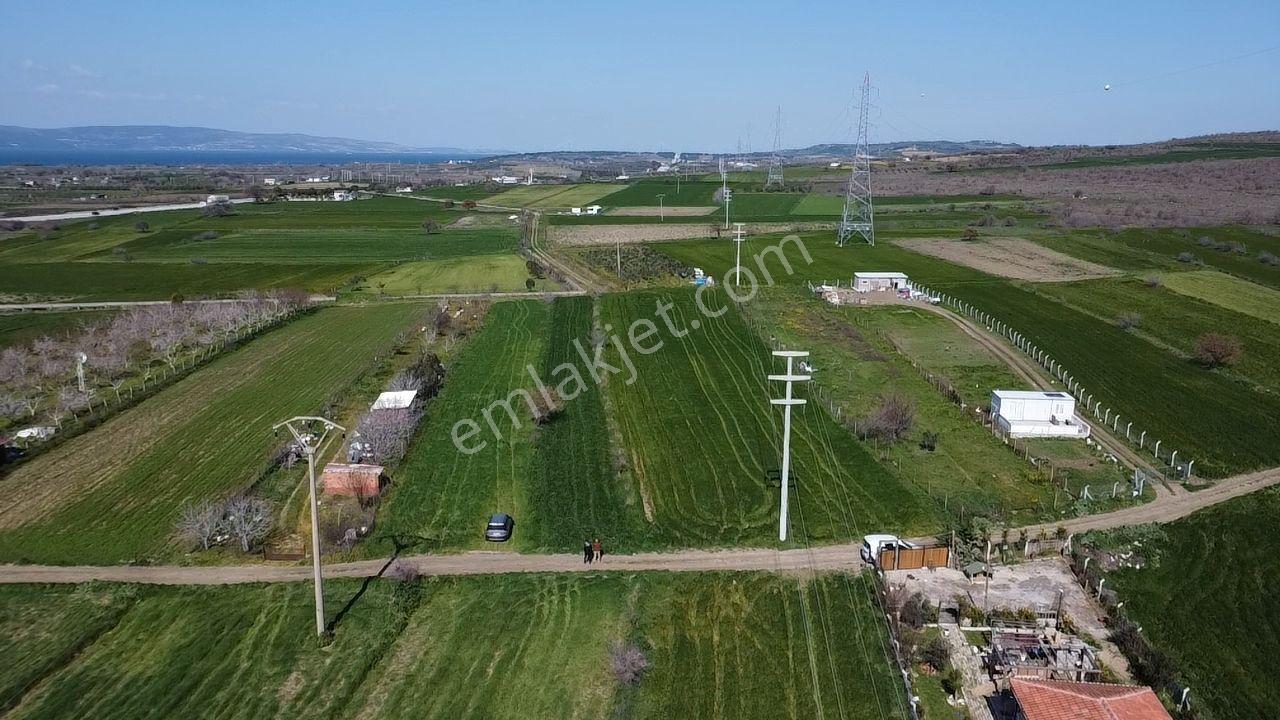 Musaköy'de Satılık 1400 M2 Tarla Han Emlak Otomotiv'den - Görsel 28