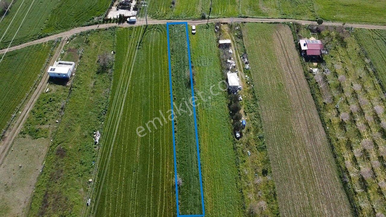 Musaköy'de Satılık 1400 M2 Tarla Han Emlak Otomotiv'den - Görsel 4