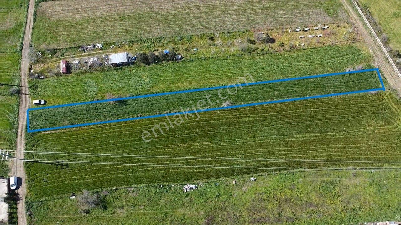 Musaköy'de Satılık 1400 M2 Tarla Han Emlak Otomotiv'den